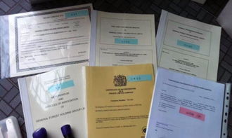 代辦互聯網金融公司、一次性醫療器械、保健食品代理記賬及食品互聯網銷售財稅合規指引